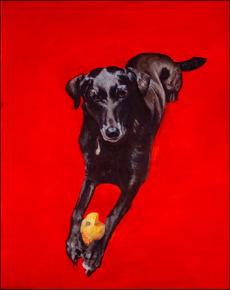 Portrait Of A Dog